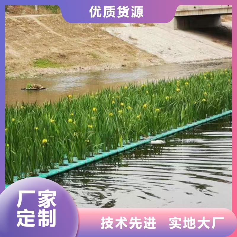 人工浮岛公司基地