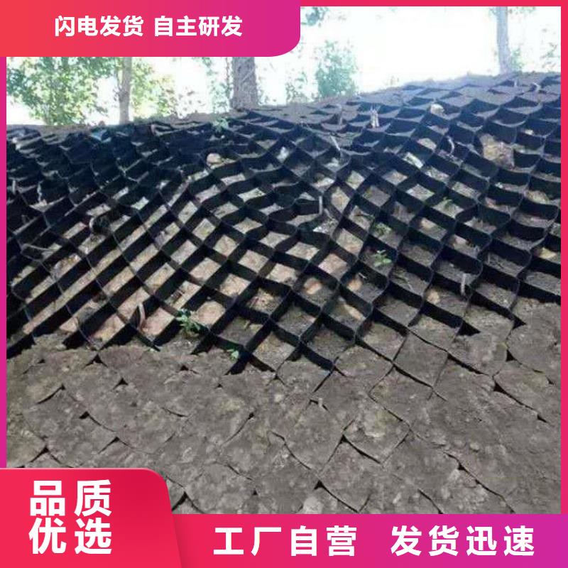 土工格室焊接土工格室海量现货直销