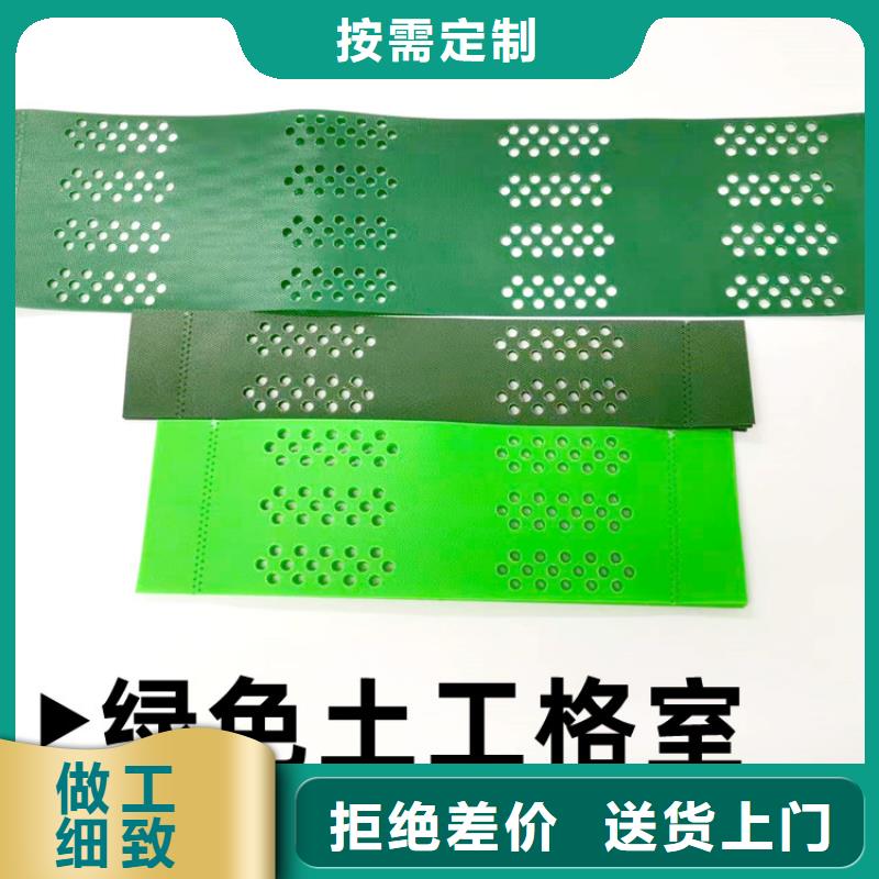 塑料土工格室免费拿样