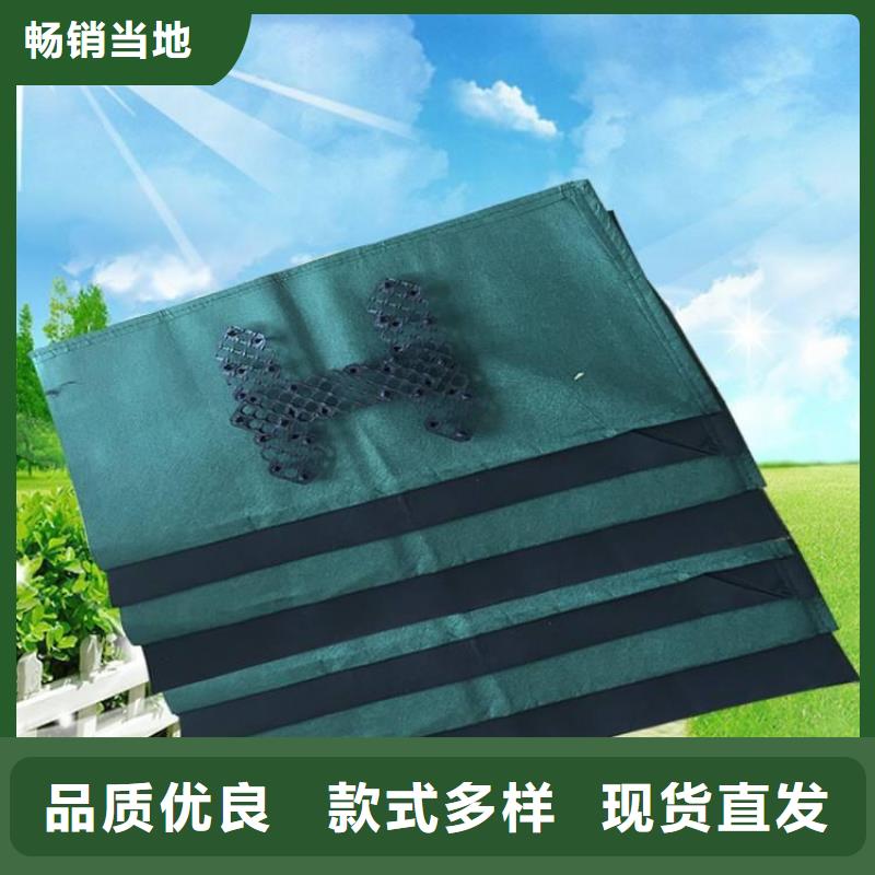 生态袋生产厂家