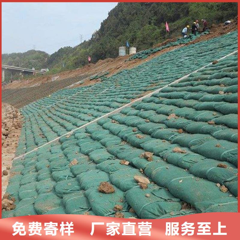 丙纶生态袋全国发货