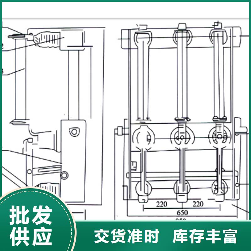 SF6-24D/T125-50熔断器-组合式六氟化硫负荷开关