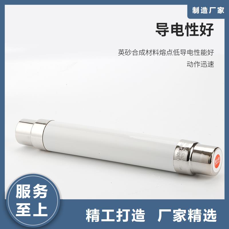 RNK-6/1A双管限流熔断器