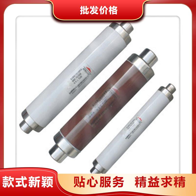 XRNP6-40.5/2A高压限流熔断器