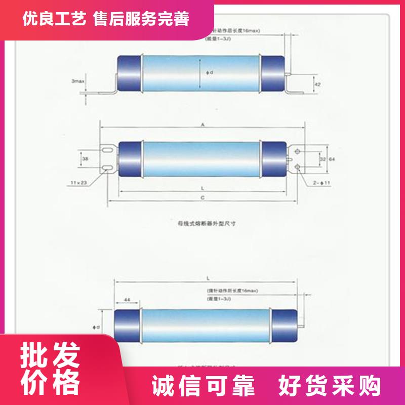 限流熔断器XRNT1-40.5/10A樊高电气