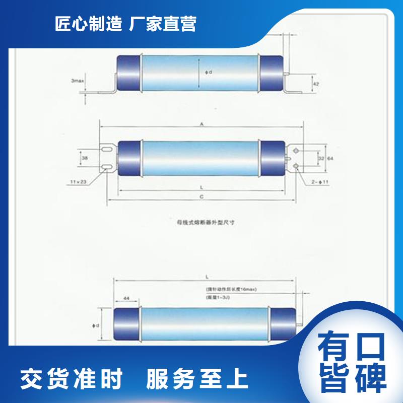 BRW-10/25A双管限流熔断器