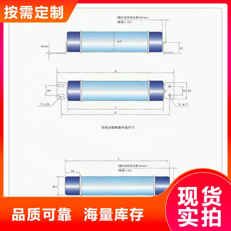 XRNP-24KV/0.2A限流熔断器厂家