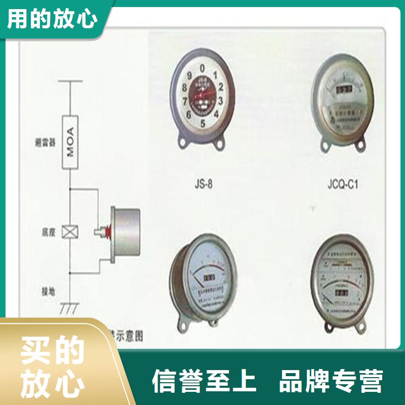 JCQ-5/400放电计数器特征