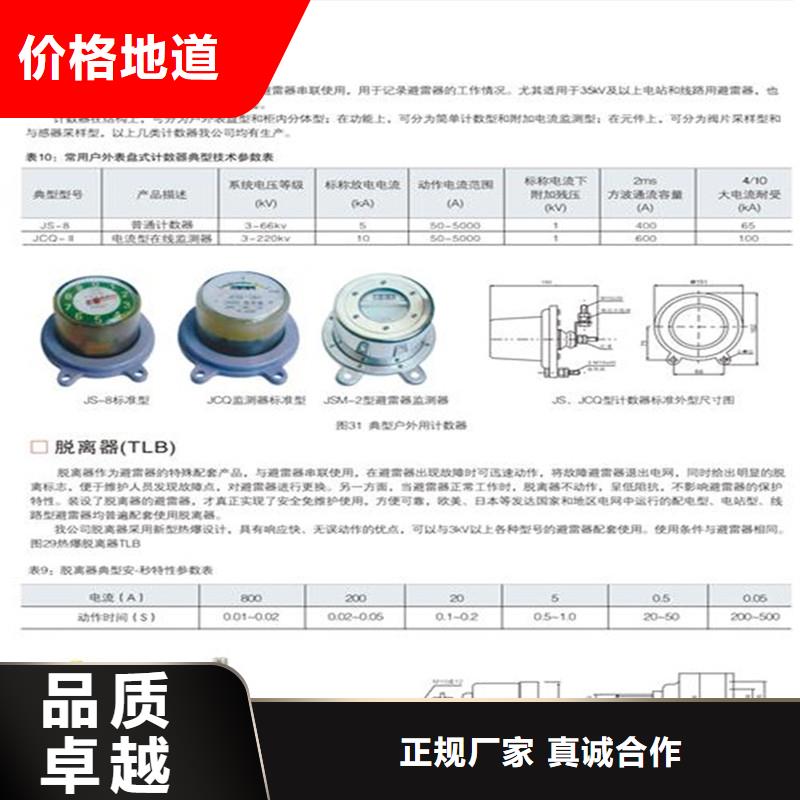 JSY-8S避雷器放电计数器特征