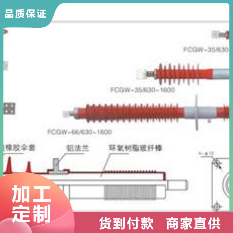 FCWB-12/2000高压硅胶穿墙套管