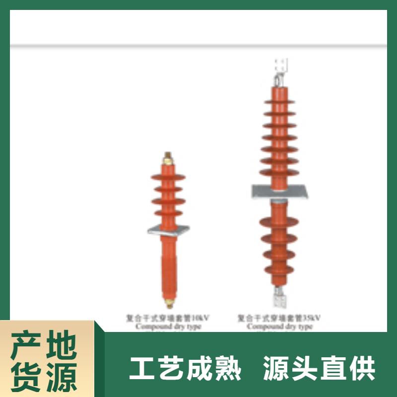 CWC-40.5/400A陶瓷高压托管