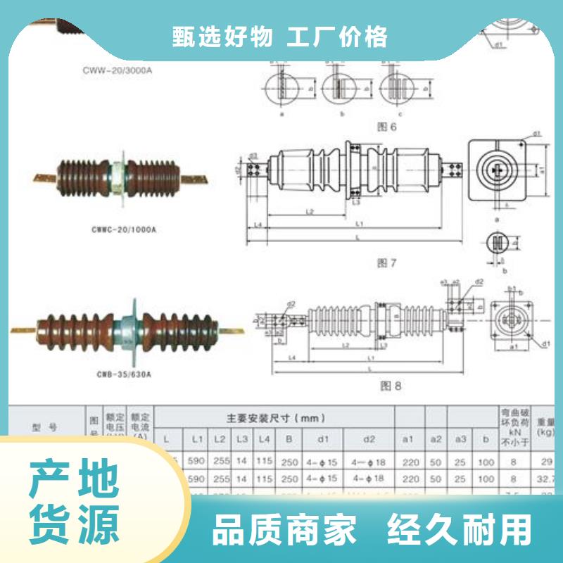 CWB-35/1600A高压穿墙套管