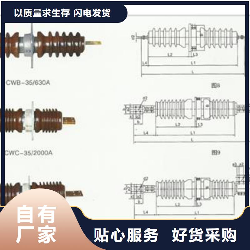 FCRG-35/1000A复合套管