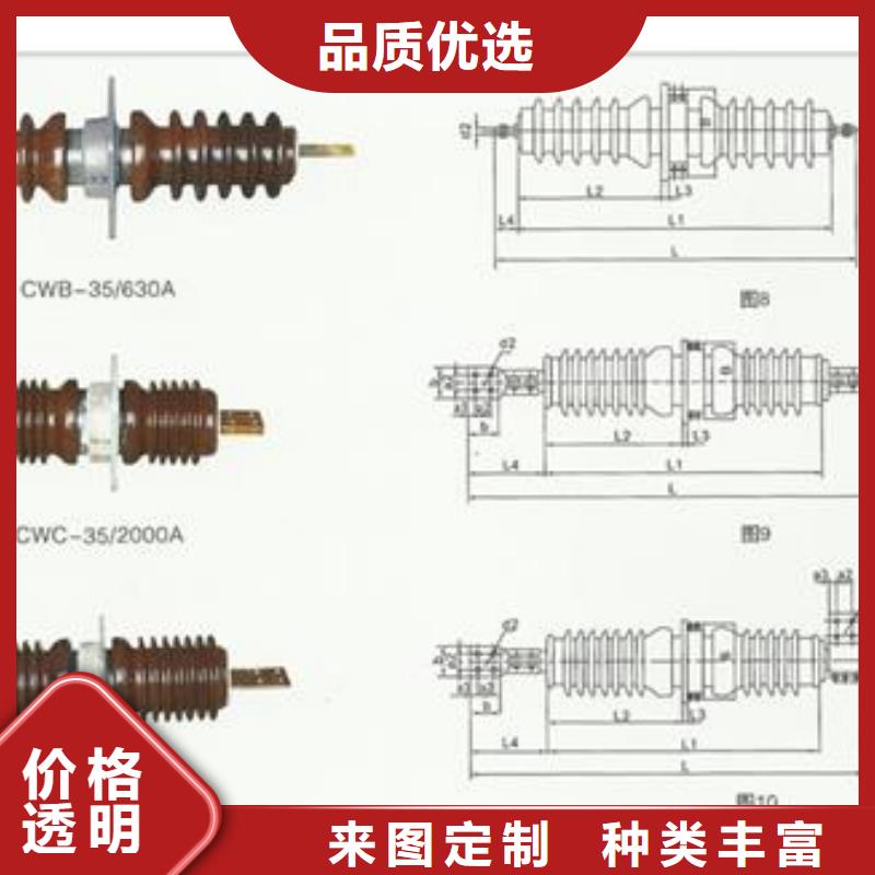 CWW-10/1250高压穿墙套管