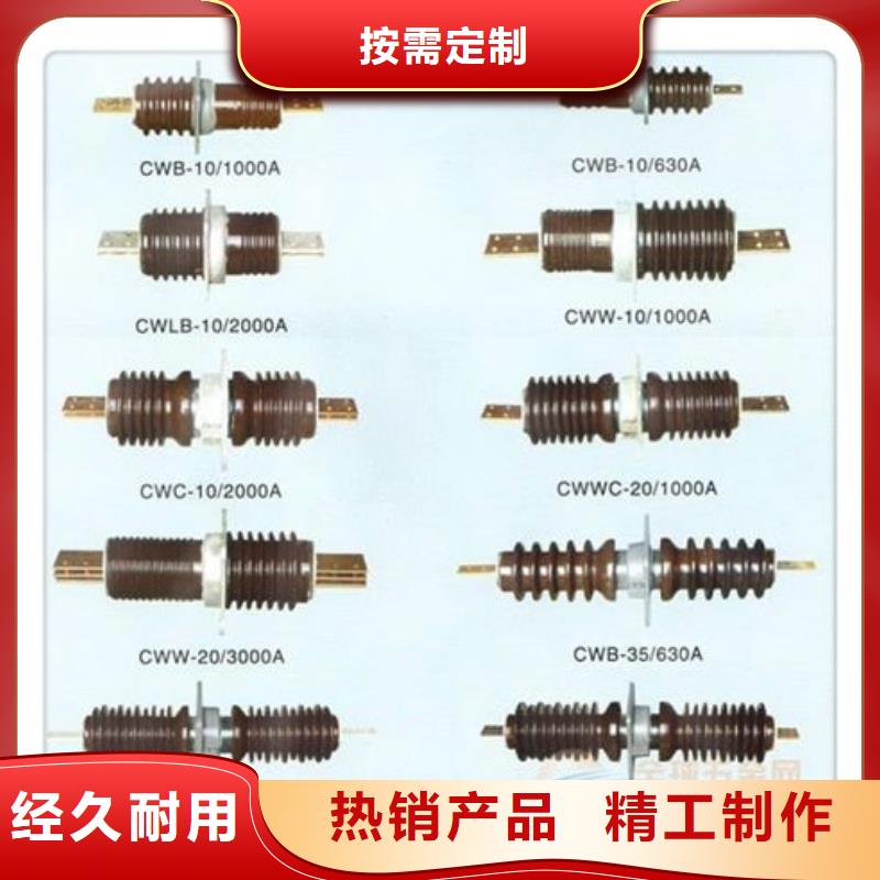 CWC-10/1000A高压穿墙套管