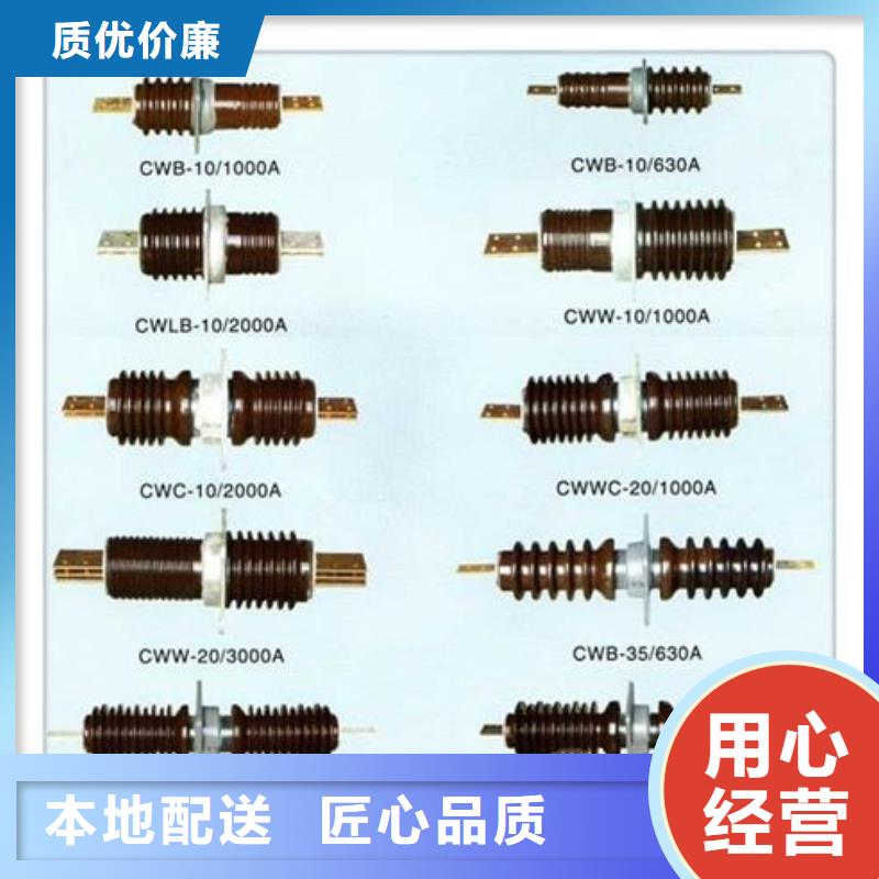 FCWW-12/3150A高压陶瓷穿墙套管