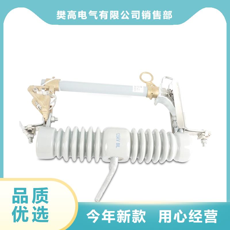 XRNP-12KV/3.15A限流熔断器