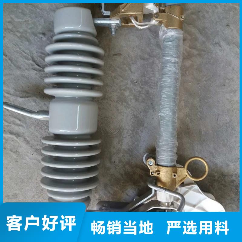 PD3-33/100A高压跌落保险说明