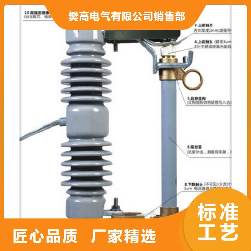 RN3-6/10户内高压限流熔断器