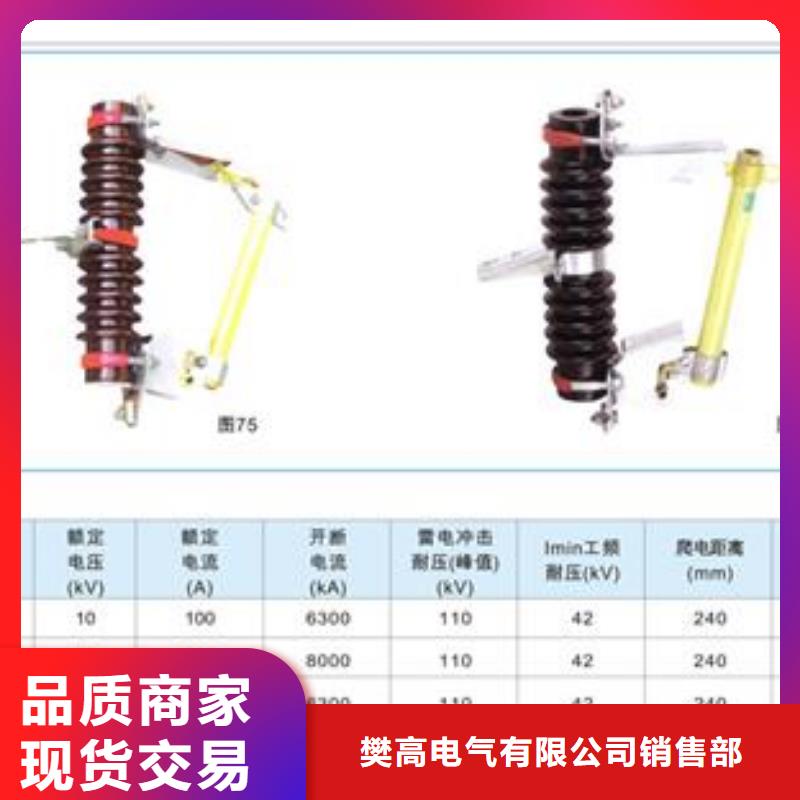 RN1-10/150熔管