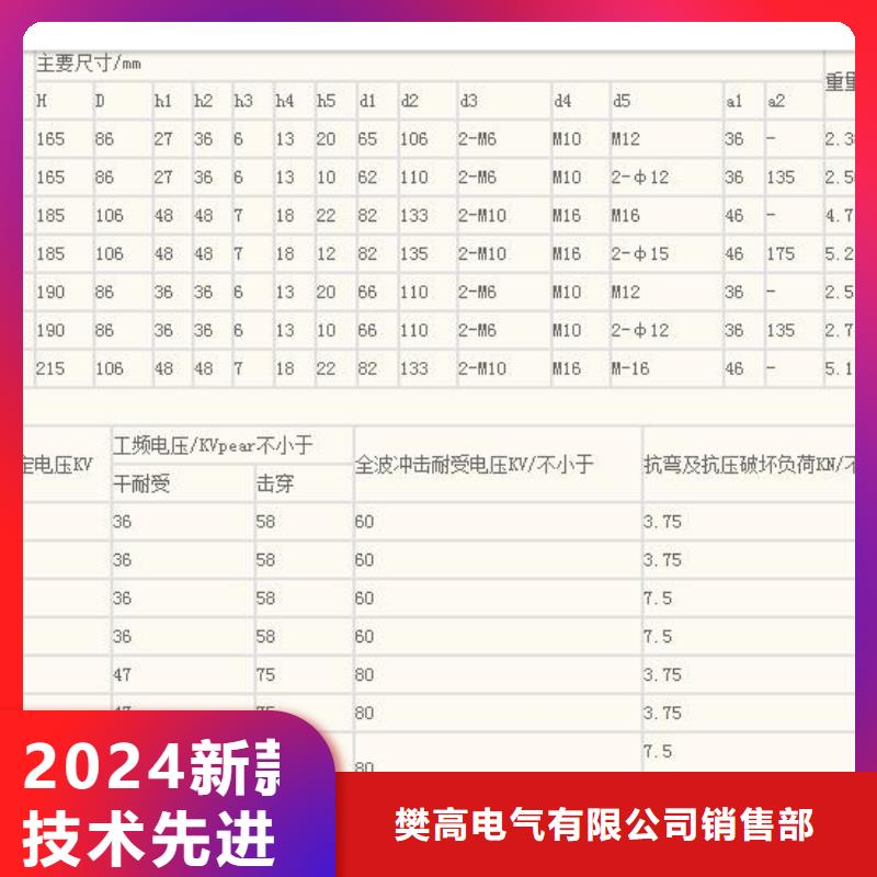 ZSW2-20/400支柱绝缘子