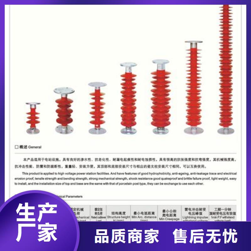 FZSW3-24/8高压硅胶绝缘子