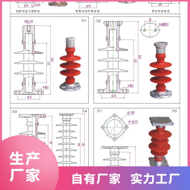 FZSW3-24/8高压硅胶绝缘子