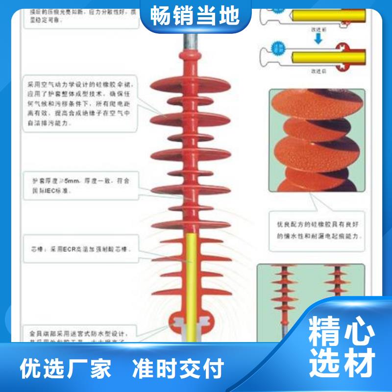 绝缘子穿墙套管厂家规格齐全