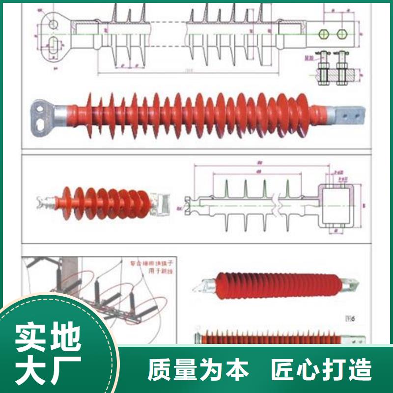 FZSW3-72.5/12.5绝缘子樊高