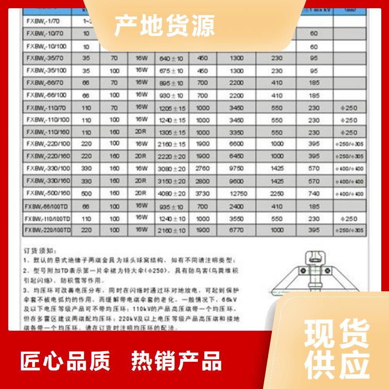 FXBW1-110/70硅胶绝缘子