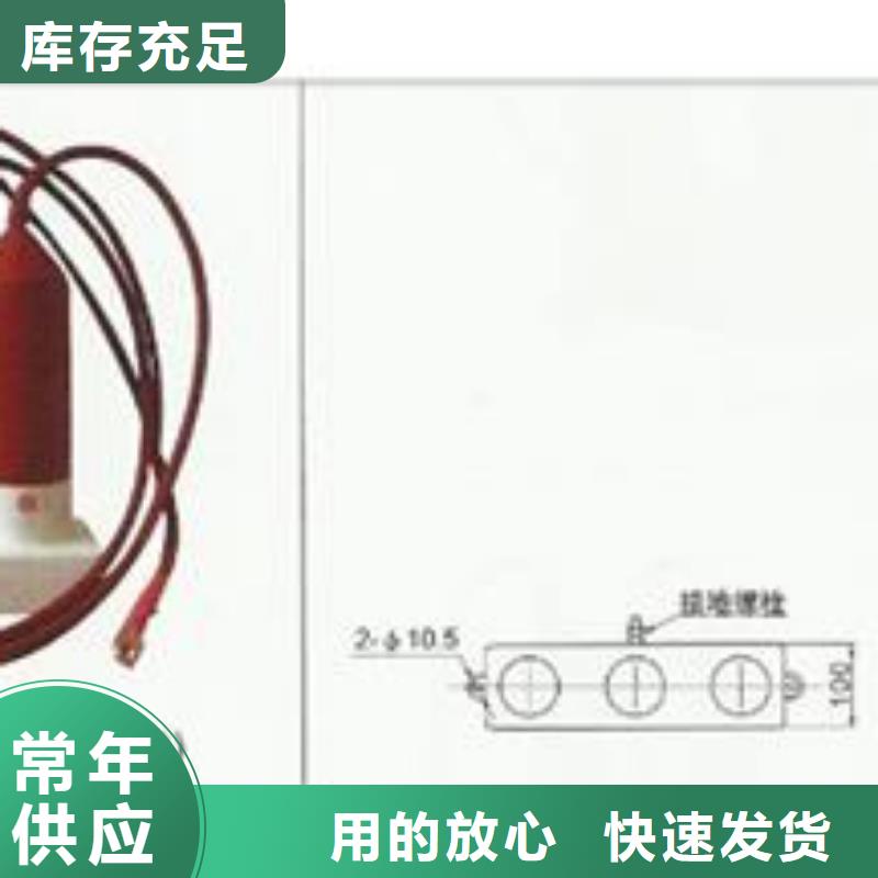 TBP-C-42/310F串联间隙过电压保护器保质期