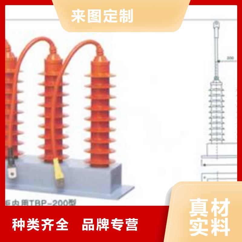 TBP-A-42F/310间隙过电压保护器