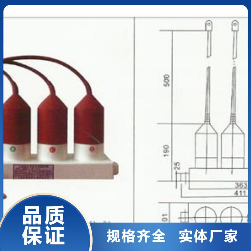 过电压保护器_【真空断路器批发】保质保量