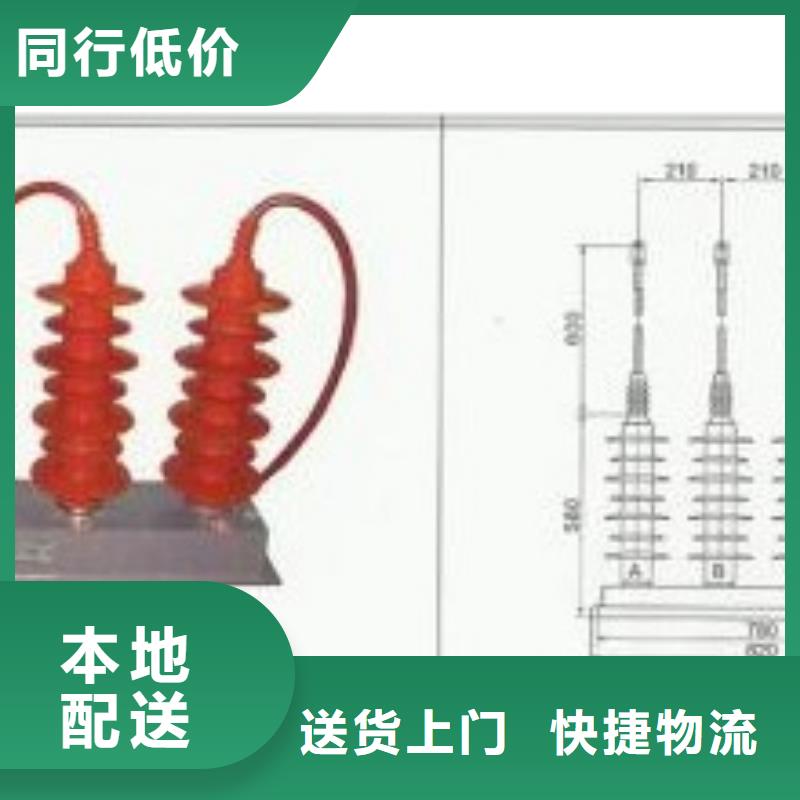 中性点过电压保护器三相组合式过电压保护器