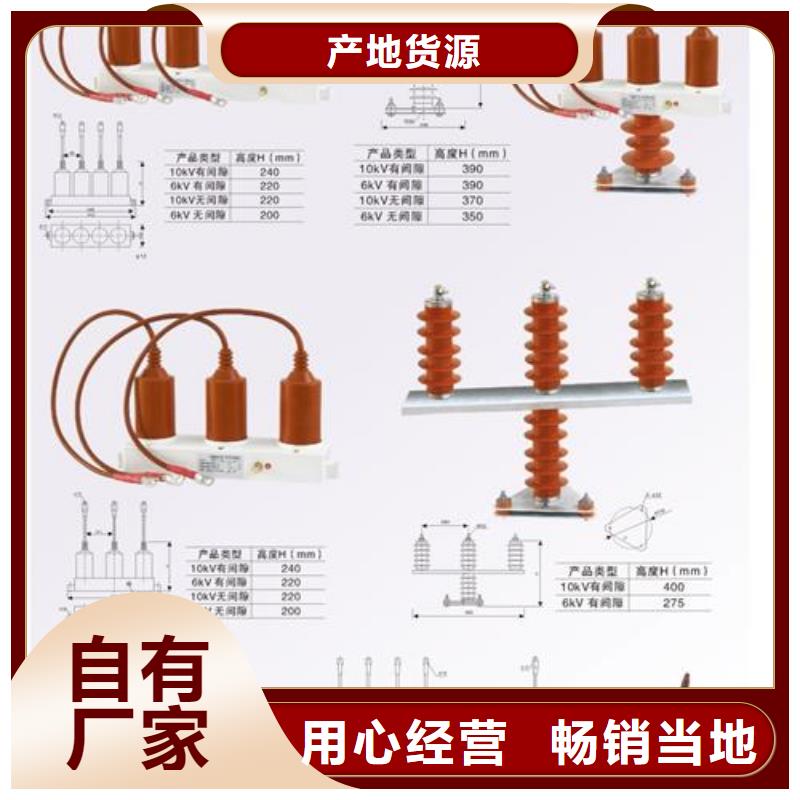 TBP-C-12.7F/150组合式避雷器