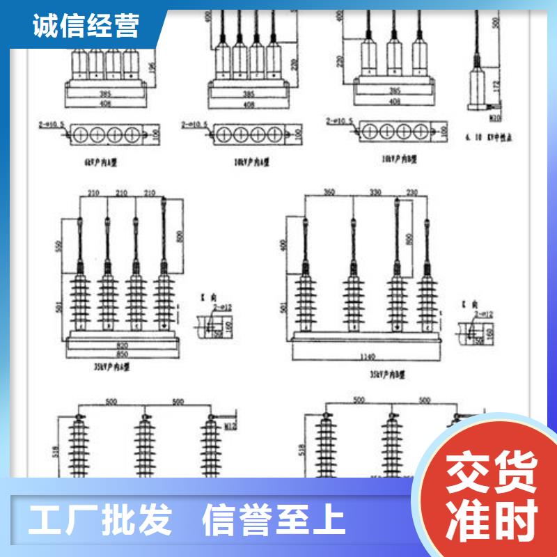 TBP-C-42/310F避雷器用保护器