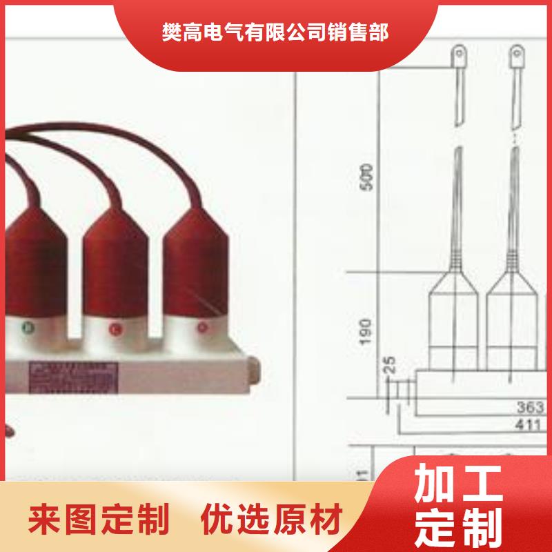 TBP-C-7.6/131F三相组合式过电压保护器