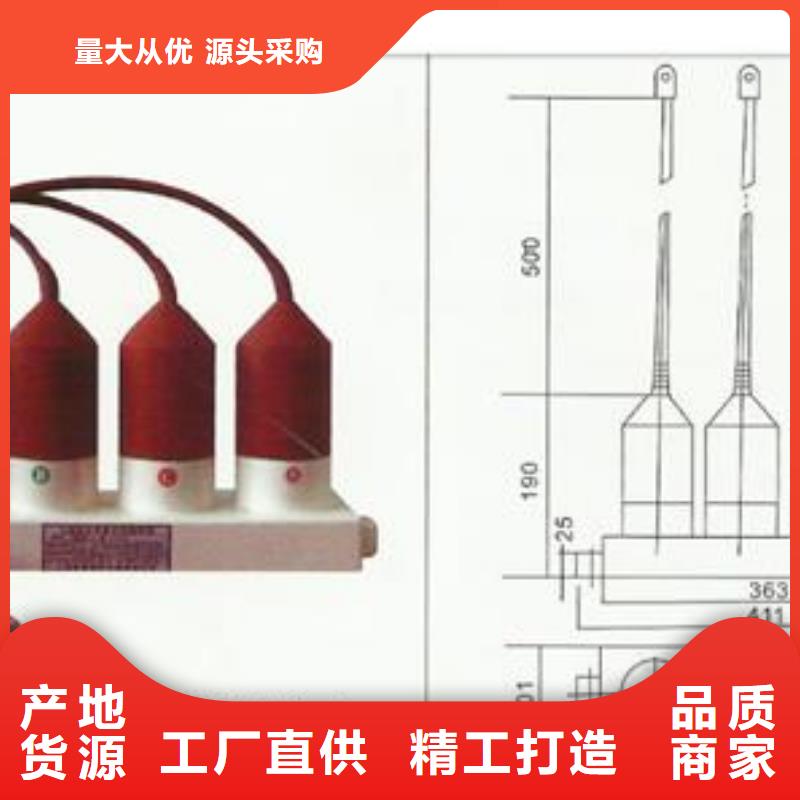 TBP-A-7.6F/85组合式避雷器