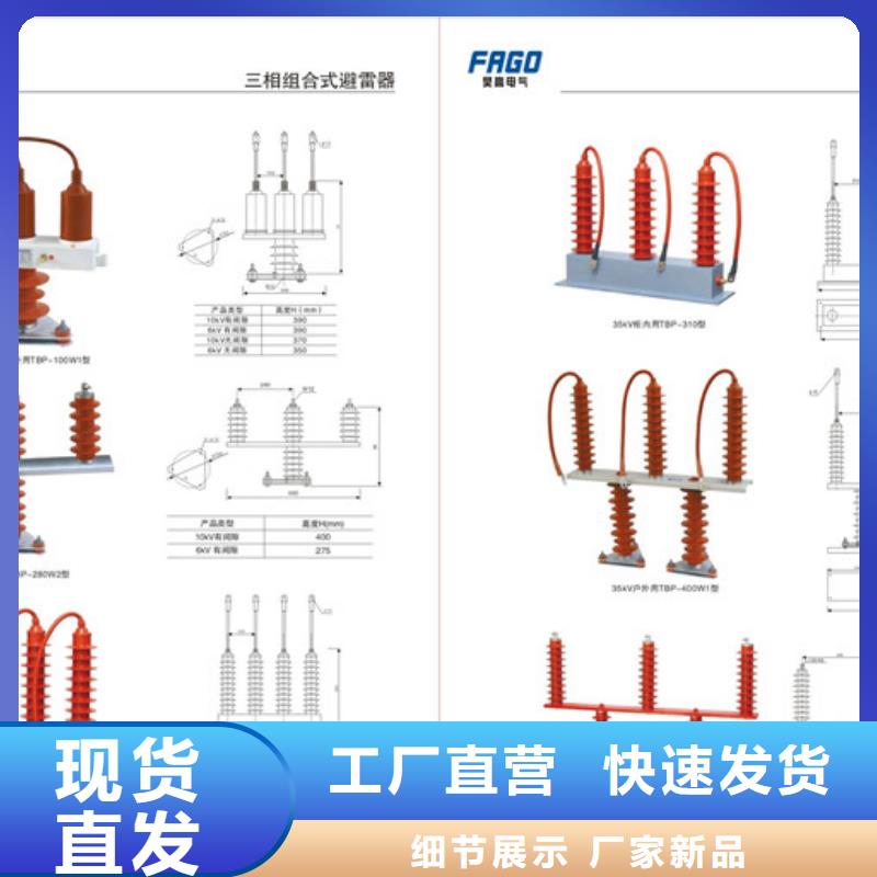 TBP-A-7.6F/85组合式避雷器