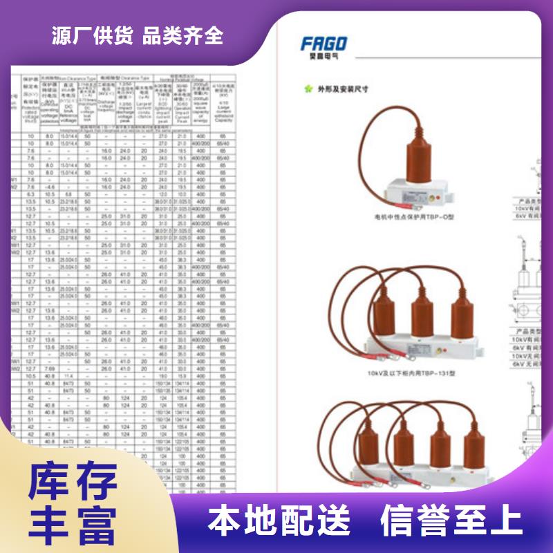 TBP-B-12.7F/85-J过电压保护器说明