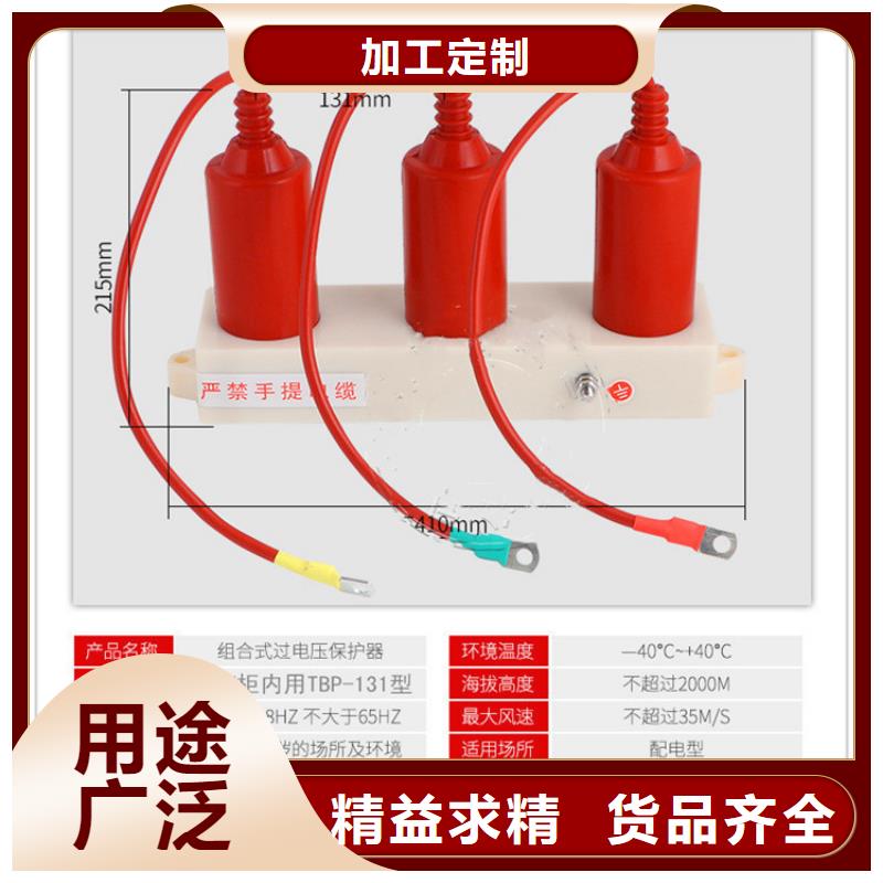 过电压保护器BSTG-B-7.6/600生产厂家