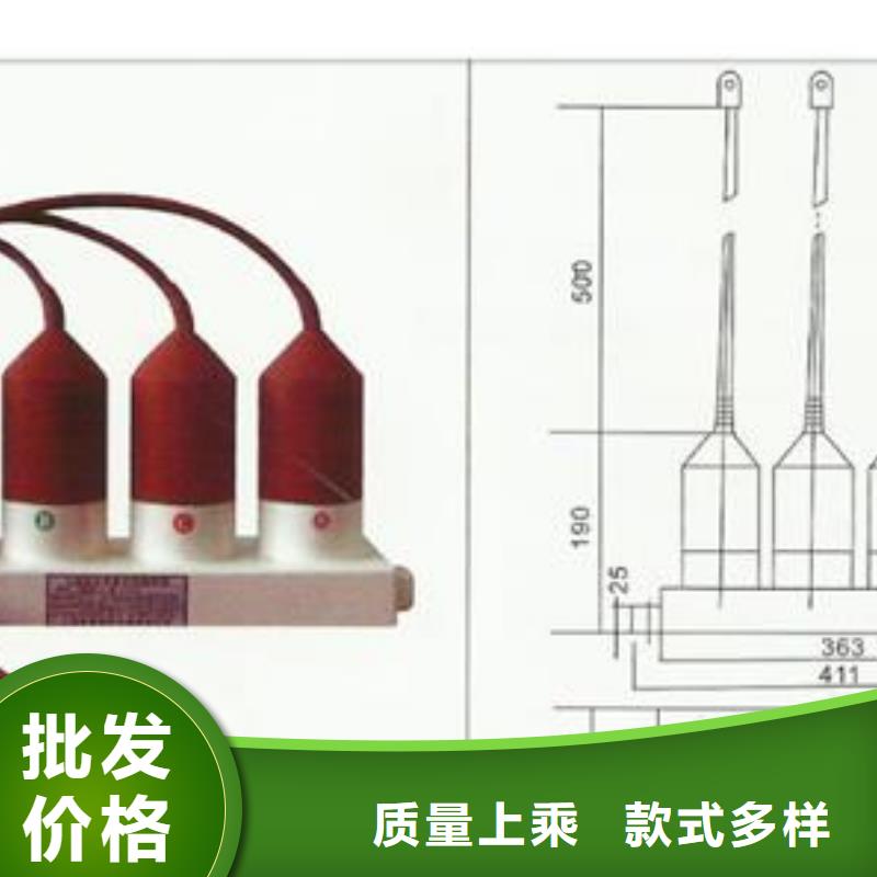 BSTG-B-17/600组合式保护器