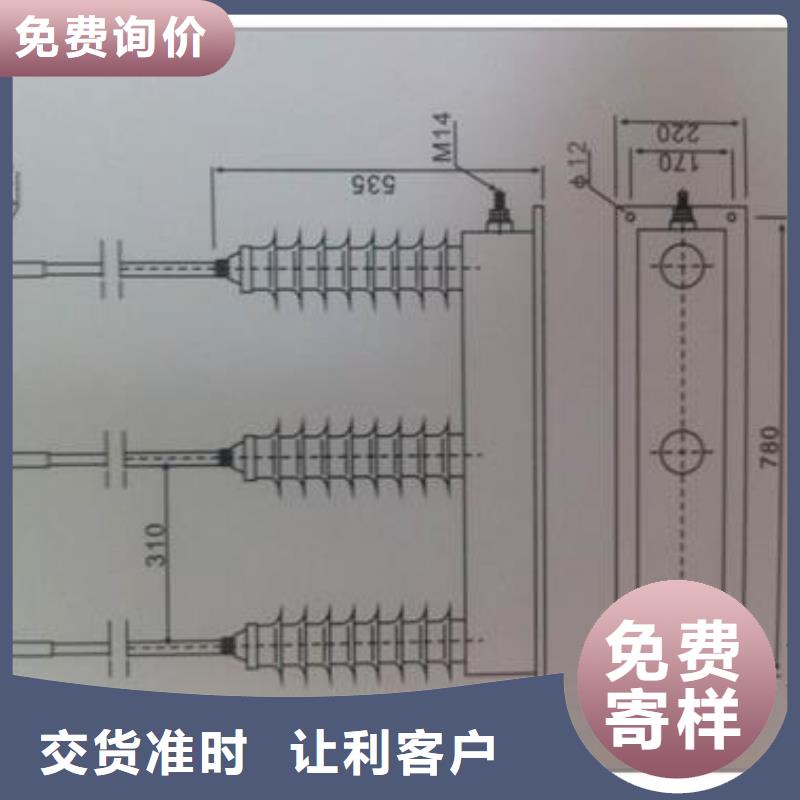 TBP-A-42F/310间隙过电压保护器