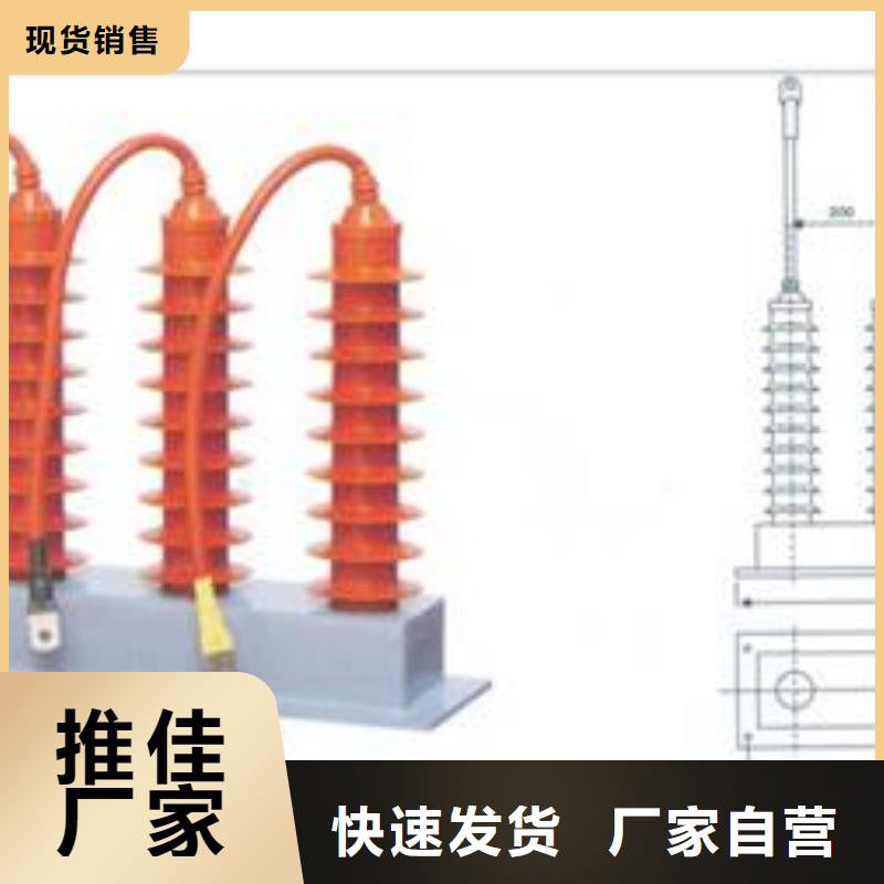 过电压保护器真空断路器供应产品细节参数