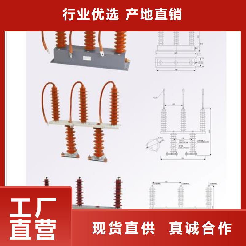 TBP-A-7.6F/85组合式避雷器