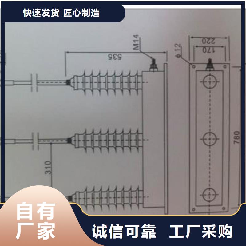 咨询(樊高)过电压保护器真空断路器来图定制量大从优