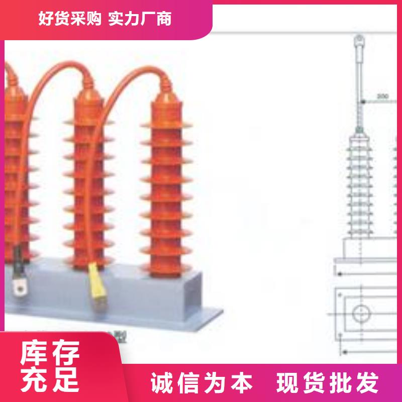 中性点过电压保护器三相组合式过电压保护器