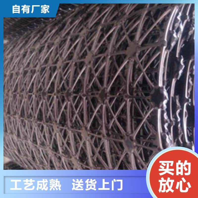 钢塑土工格栅塑料排水板货源直销