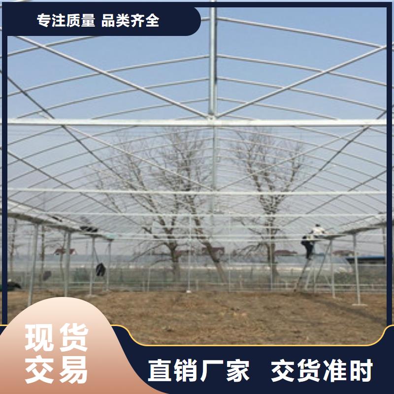 大棚管镀锌钢管货到付款