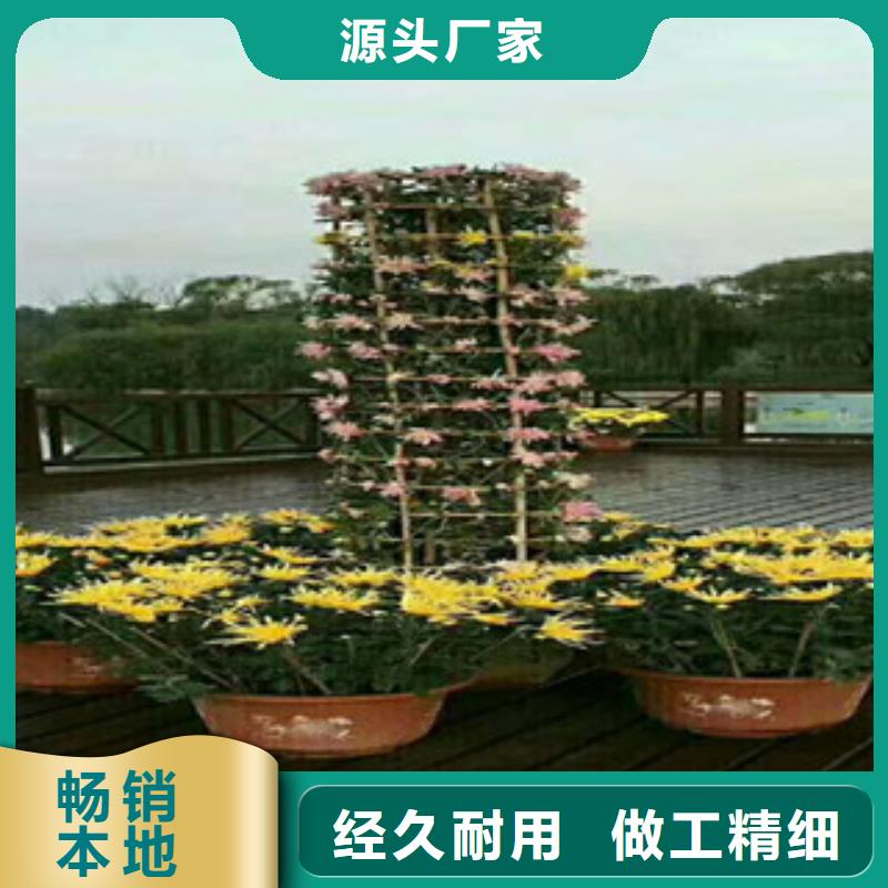 【时令草花-花海景观工程客户好评】